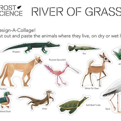 River of Grass Activity