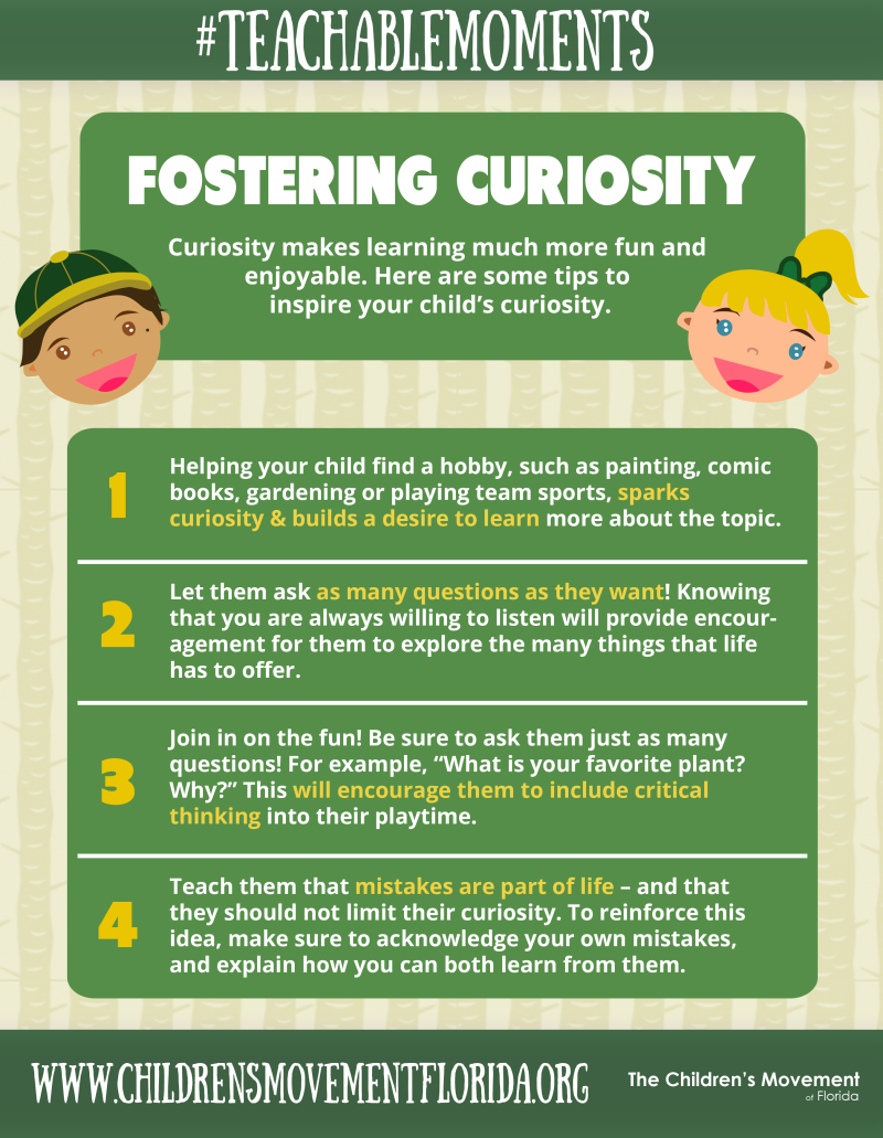 Fostering Curiosity