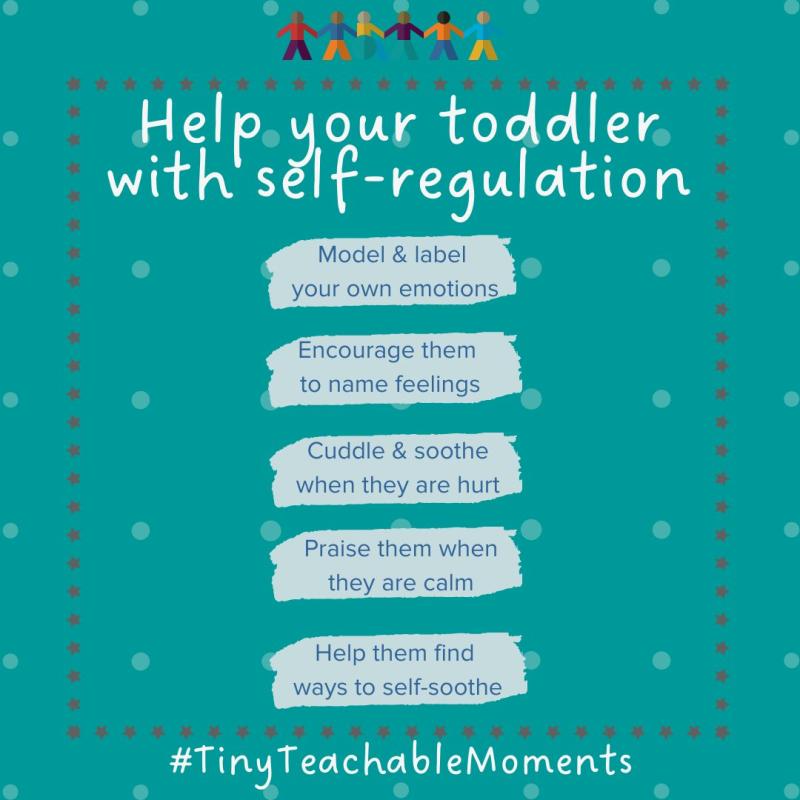 Help your toddler with self-regulation